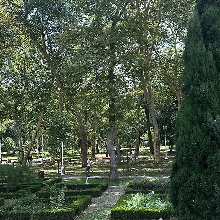 Glass Хостел *